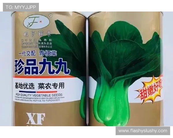 轻松掌握富88手机版使用技巧，成为高手玩家不再难