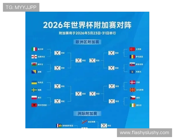 2026年瑞典与突尼斯世界杯比赛控球率对比及战术分析报告